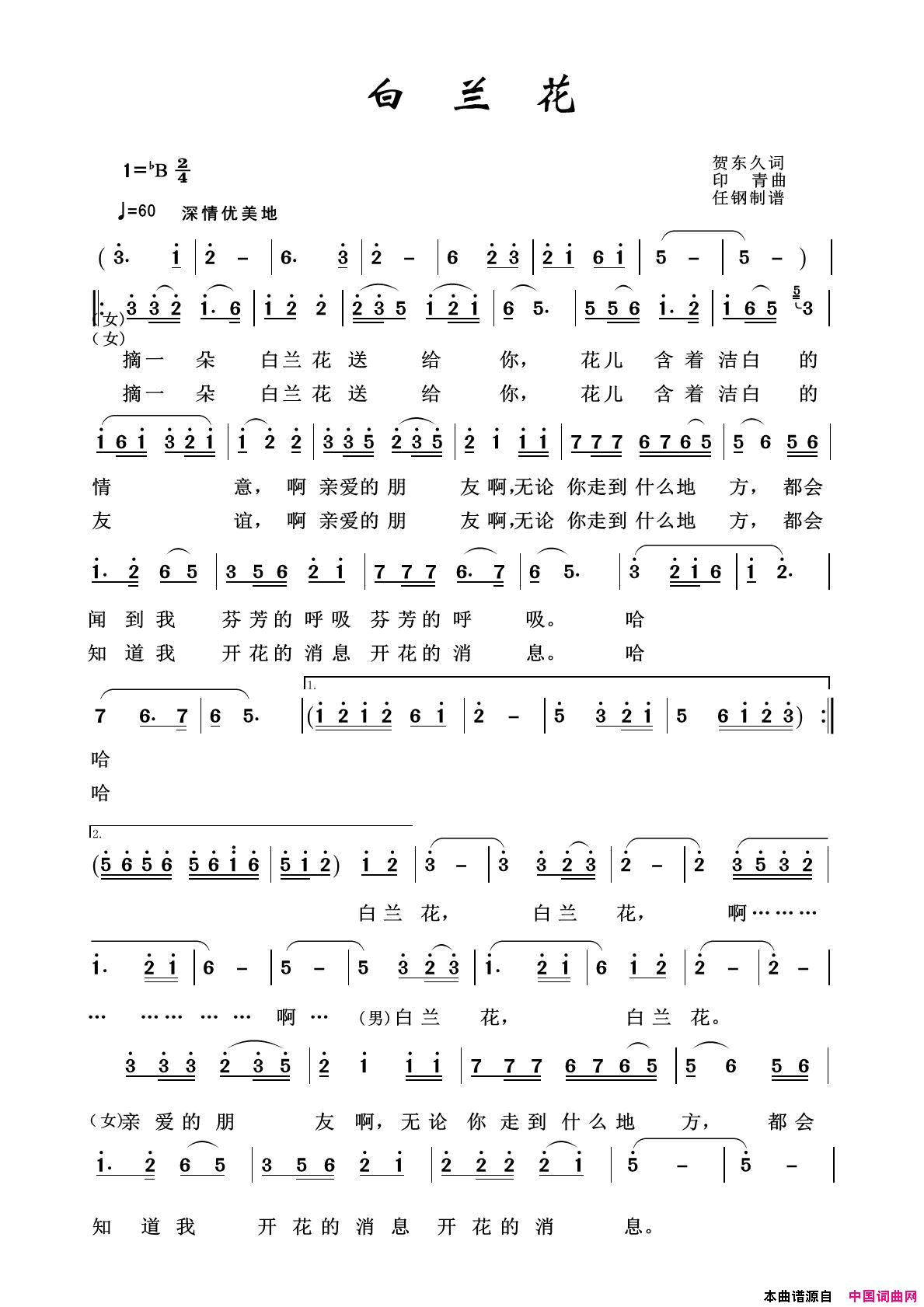 白兰花军旅歌曲100首简谱-1