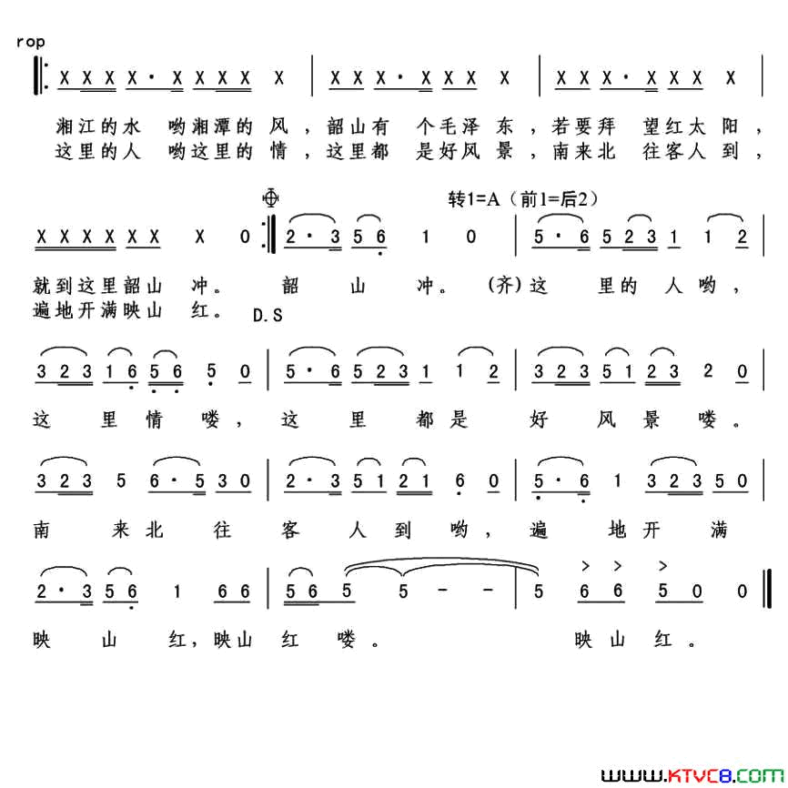 遍地开满映山红简谱-2