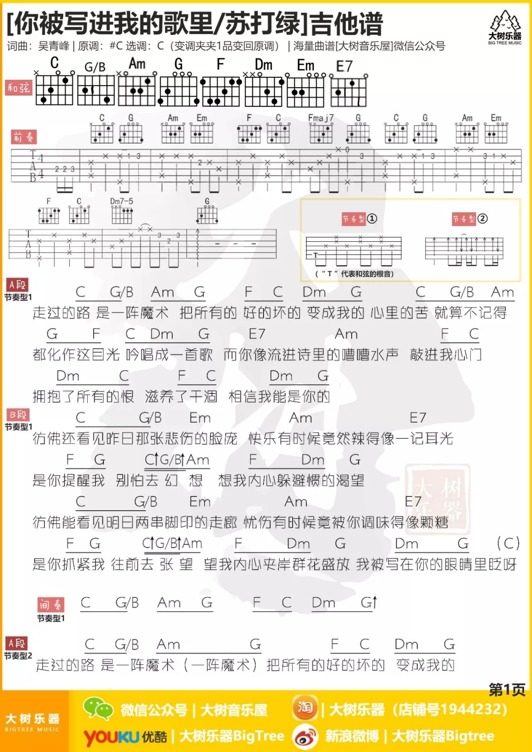 你被写进我的歌里吉他谱-1