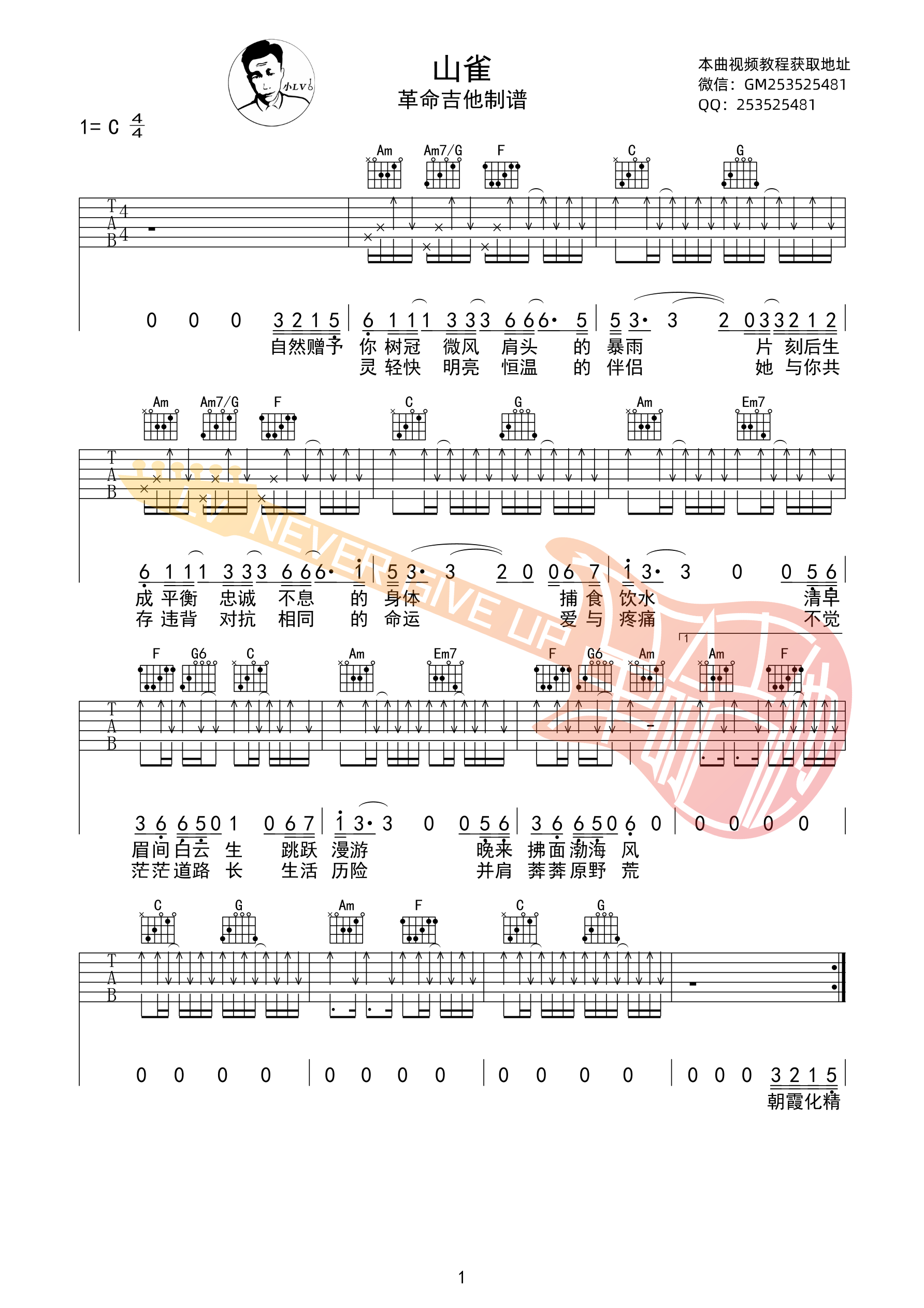 山雀吉他谱-1