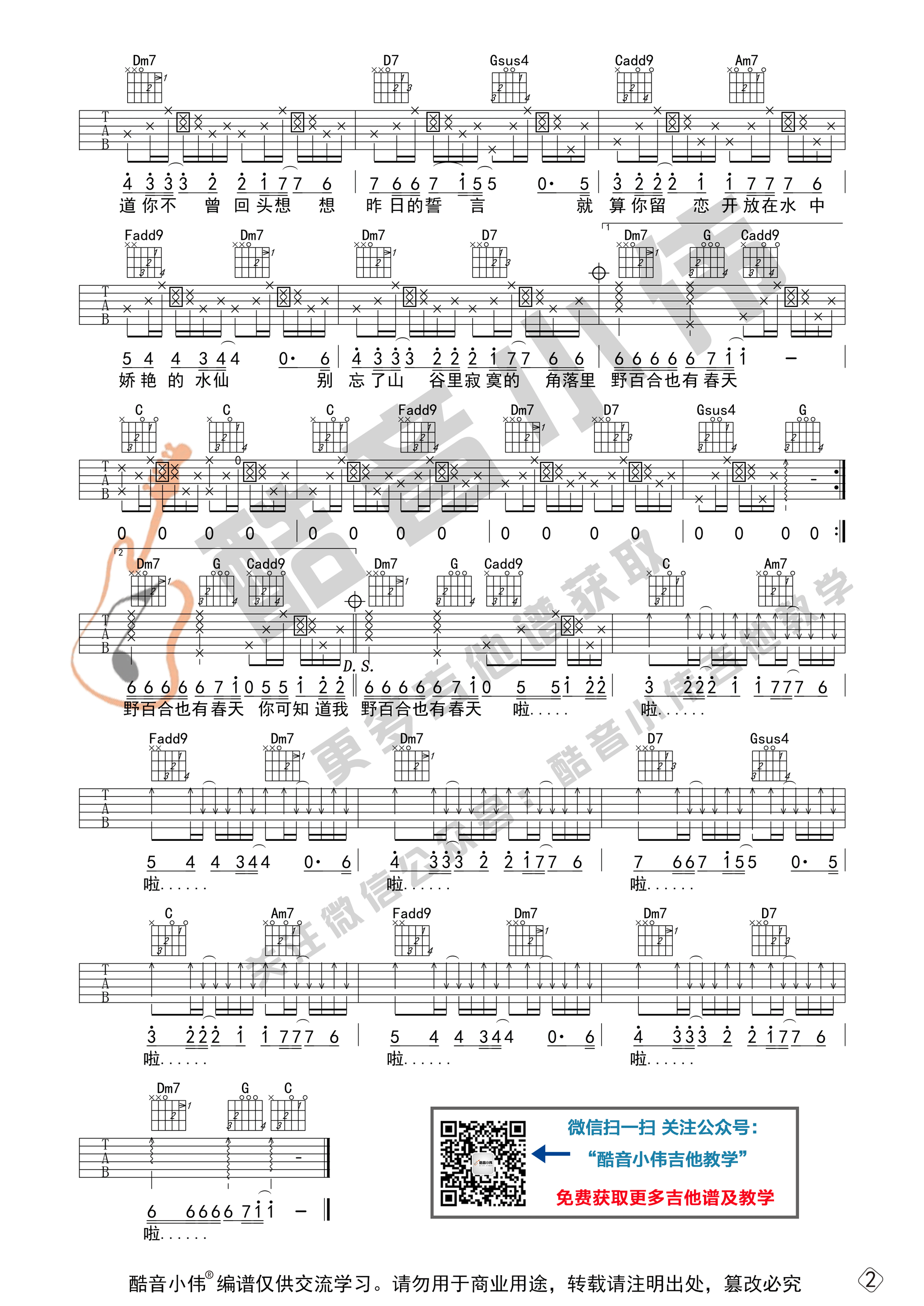 野百合也有春天吉他谱-2