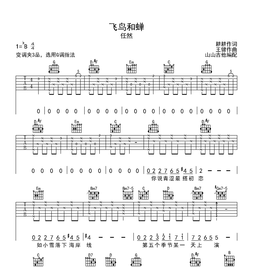 飞鸟和蝉吉他谱