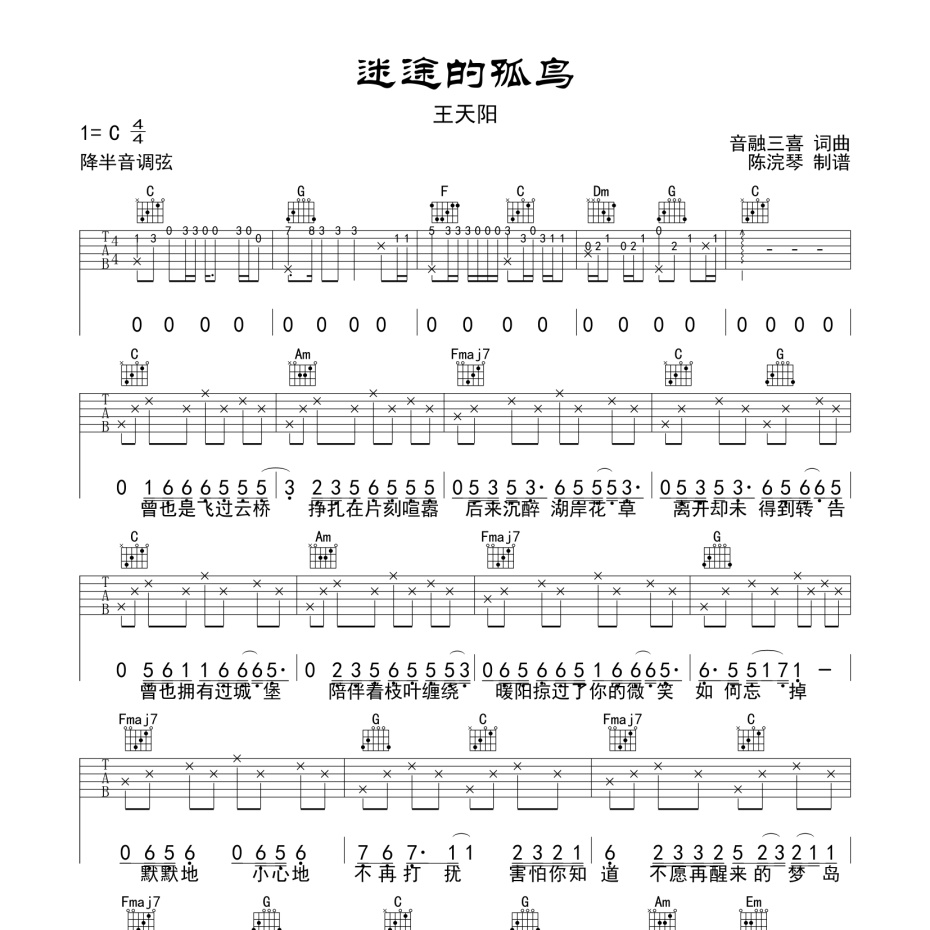 迷途的孤鸟吉他谱