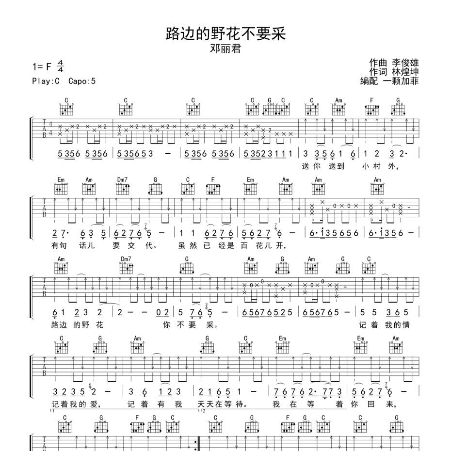 路边的野花不要采吉他谱